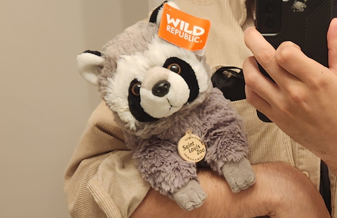 An adorable raccoon plushie