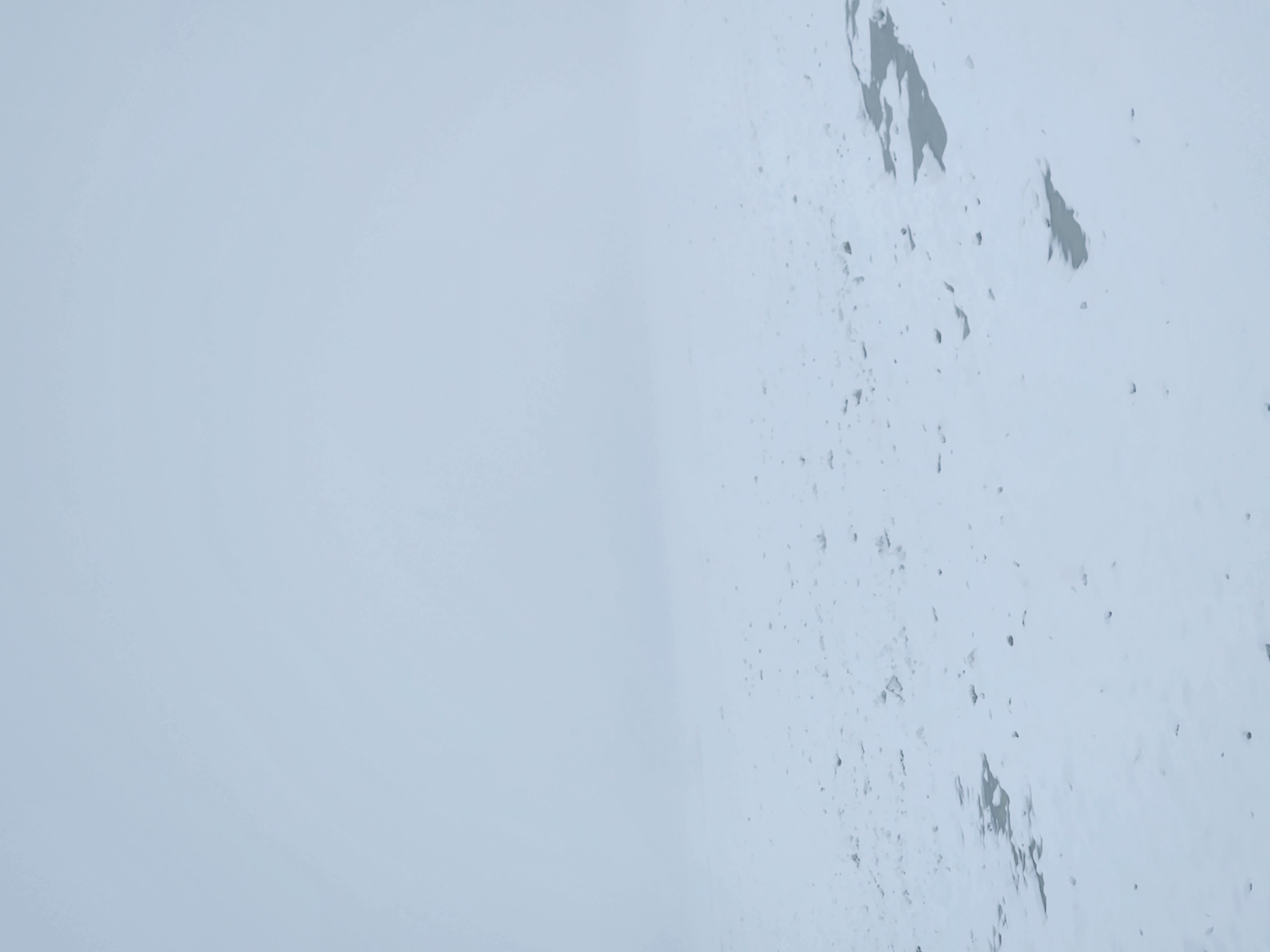 a landscape made indistinct by a blizzard. It's hard to tell if it's a field or a lake